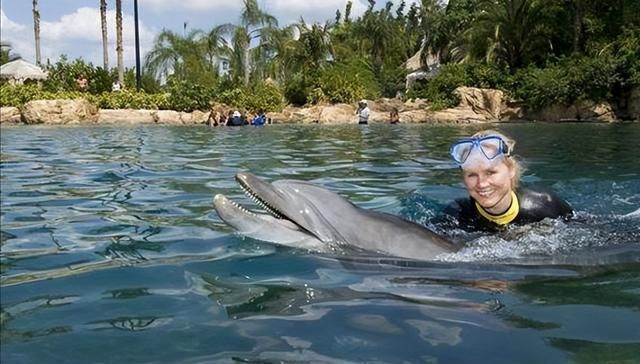 圭亚那队备战欧洲资格赛，备受瞩目的简单介绍