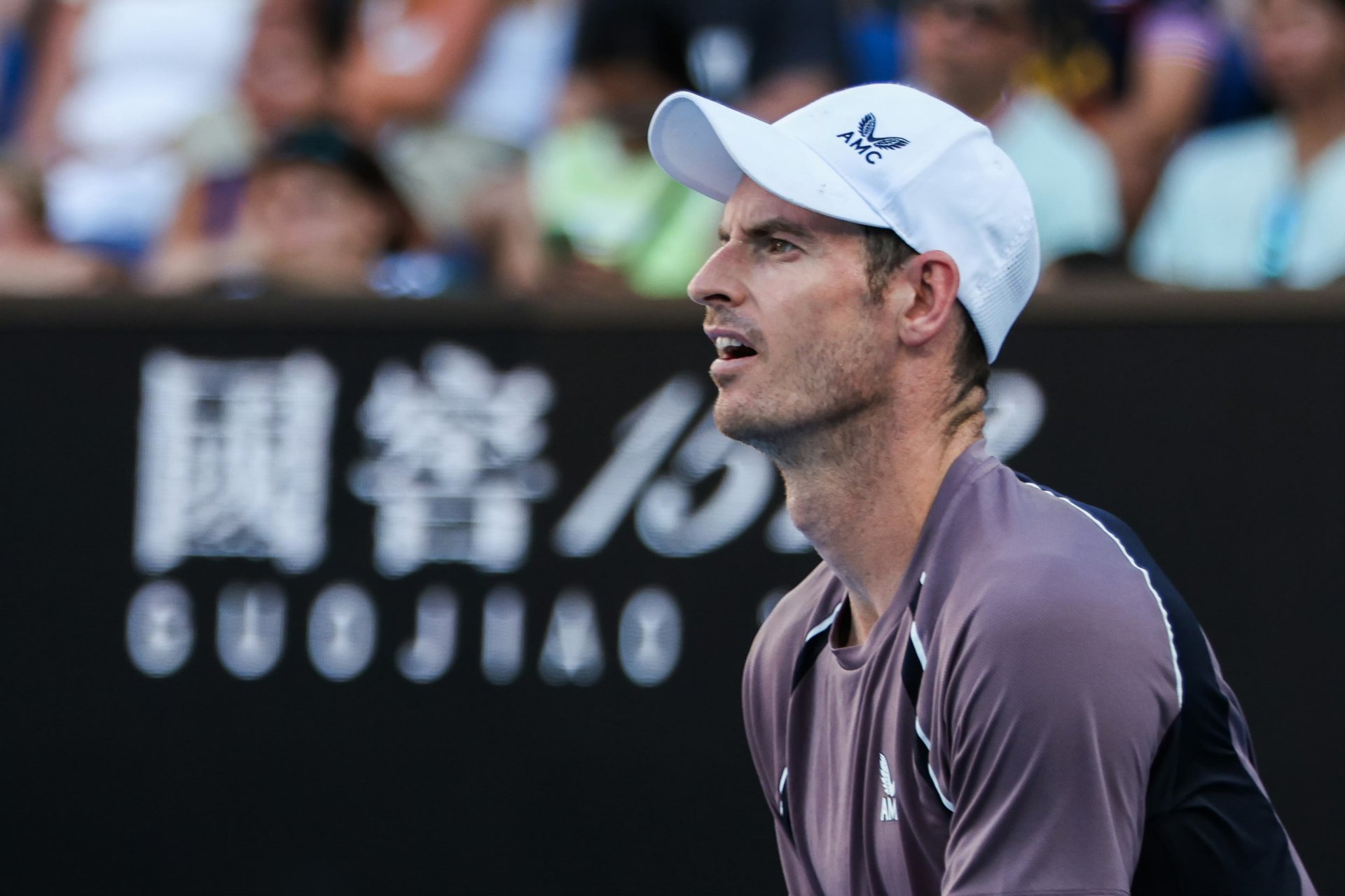 蒙特卡洛大师赛横扫澳网,穆雷点燃赛场 蒙特卡洛大师赛横扫澳网,穆雷点燃赛场