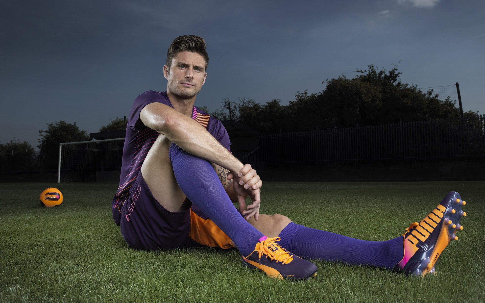 双城记，当老鹰的爪牙遇见狐狸的獠牙