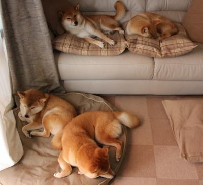 世俱杯-伦纳德爆发斩断洪流，辽宁队强行终结浙江队连胜势头