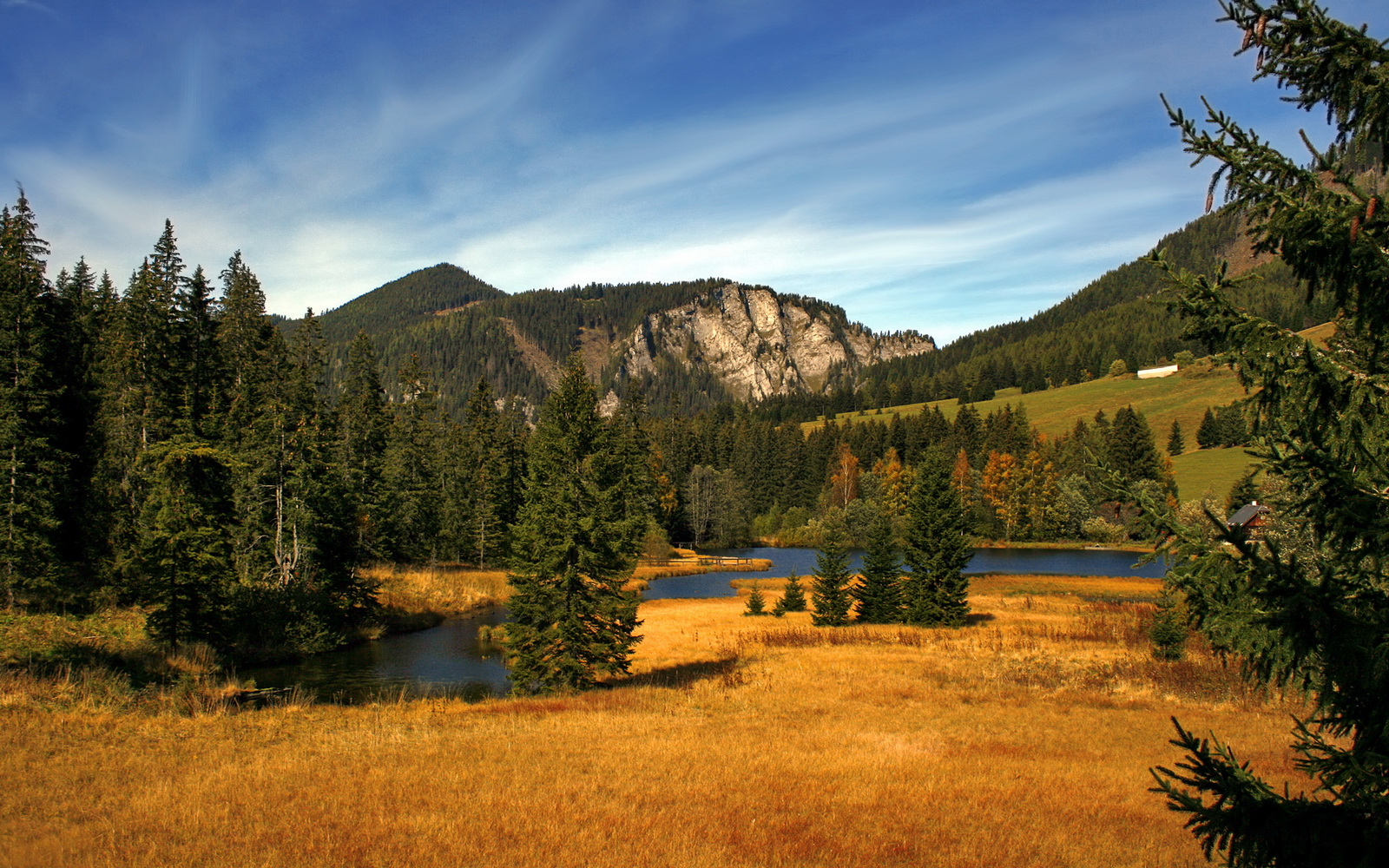 CBA巨人杀手？当广东队用东方智慧给NBA的76人上了一课，浓眉统治级数据下被掩盖的真相