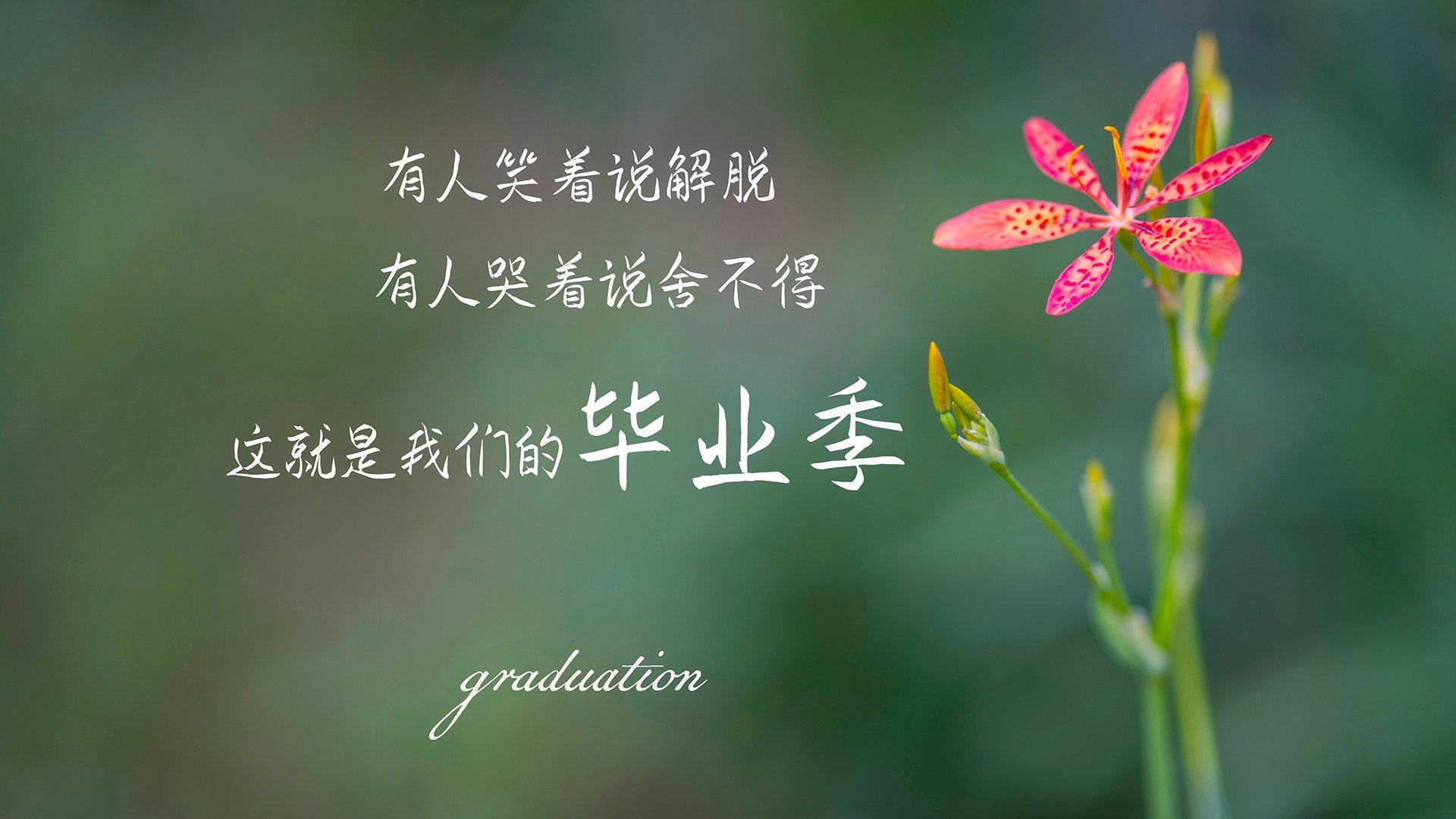 数据海啸淹没亚特兰大，当全面爆炸的克莱与坚韧76人合体，老鹰该如何喘息？