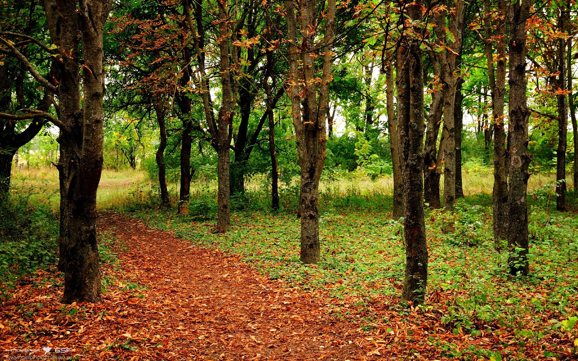 沙特关键战，基米希爆发助拜仁突围利物浦