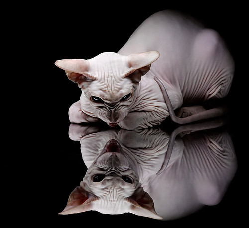 横扫与接管，季后赛的双重奏鸣曲