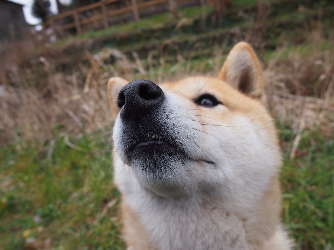 意甲焦点战与勇士一波流，体育赛场上的决胜风暴