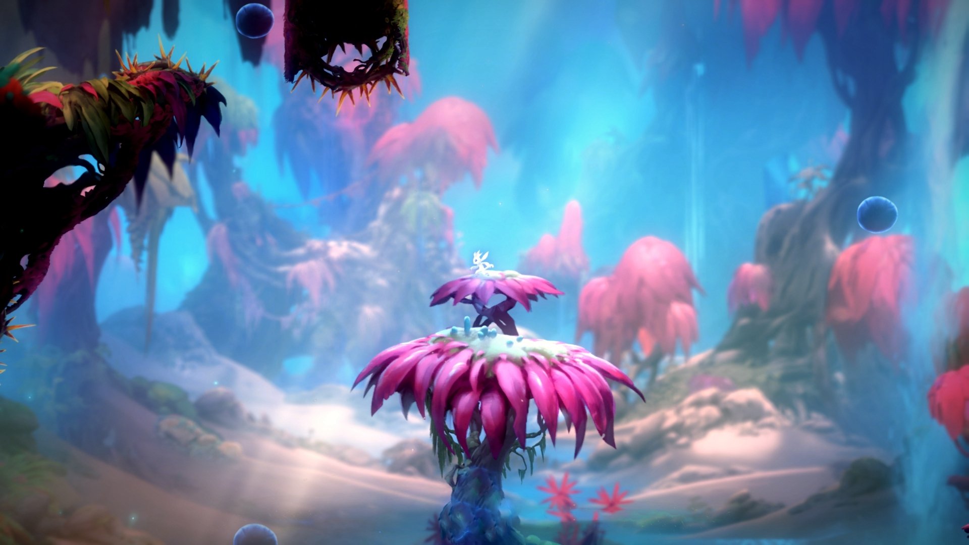 凯塞多独造四球闪耀关键战,哥斯达黎加4-0玻利维亚抢占奥运先机