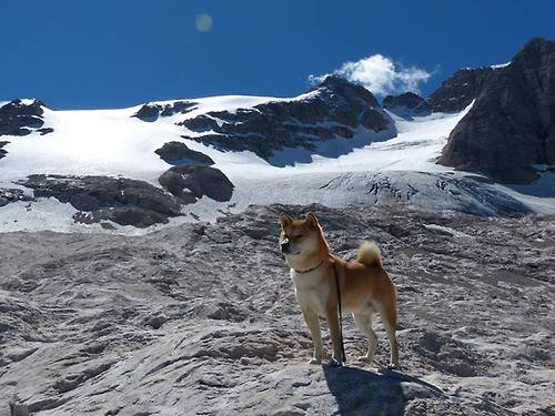 世纪之光,领袖之魂,2026世界杯之夜厄德高定义足坛新价值