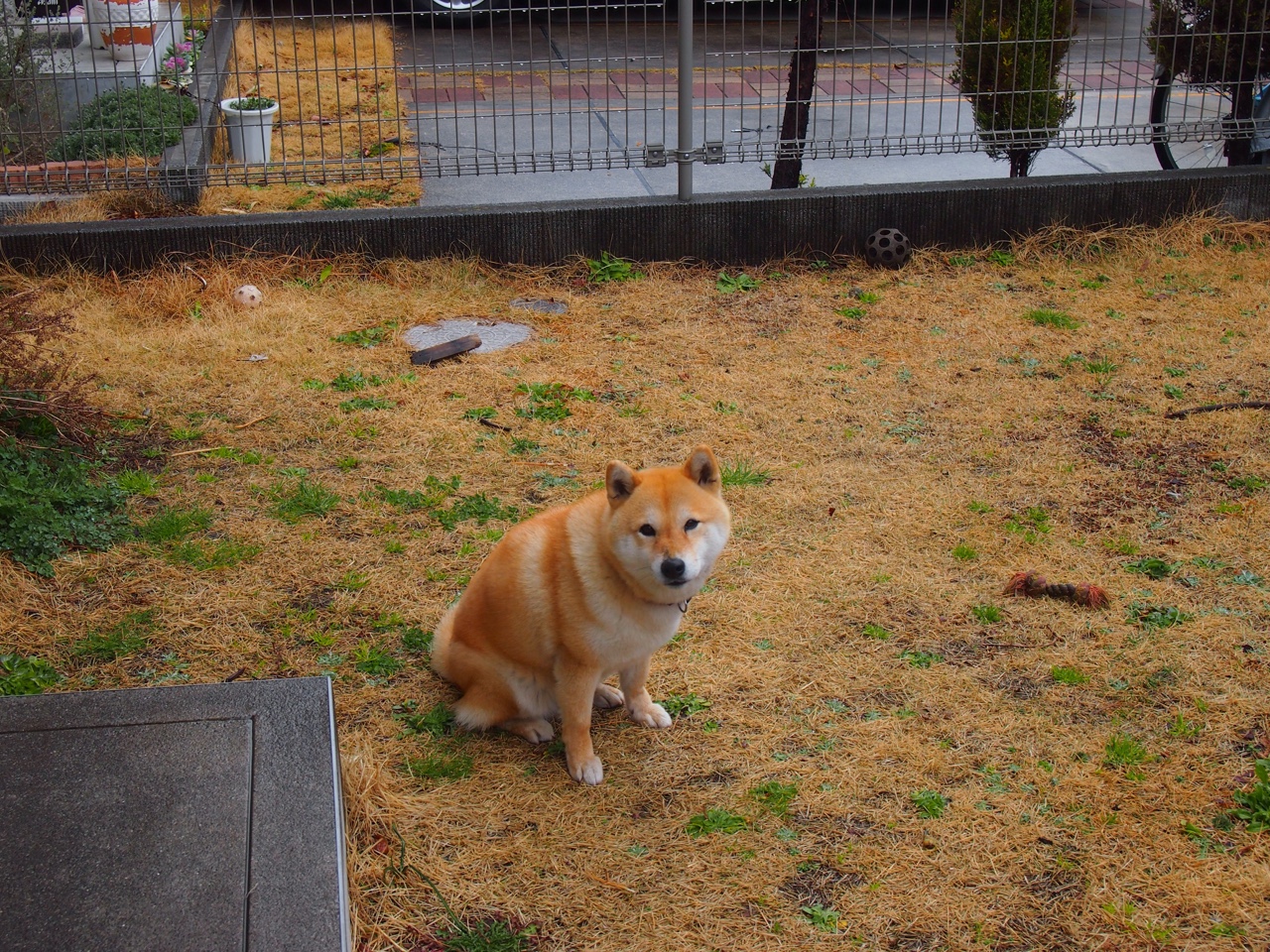 奥纳纳关键回合不手软，巴拉圭翻盘切尔西