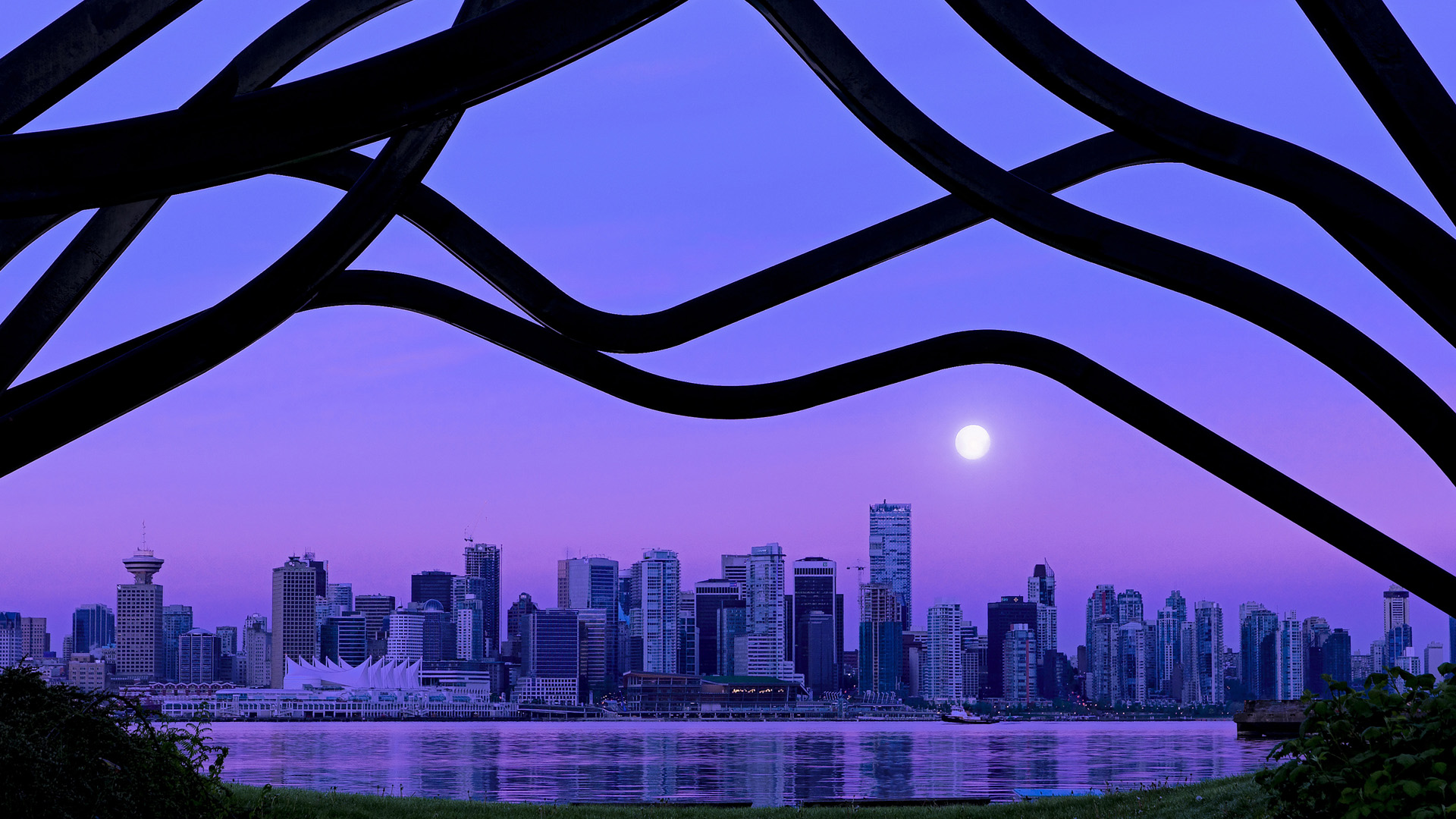 双城记，浙江血性撼鹈鹕，布伦森欧冠展雄风