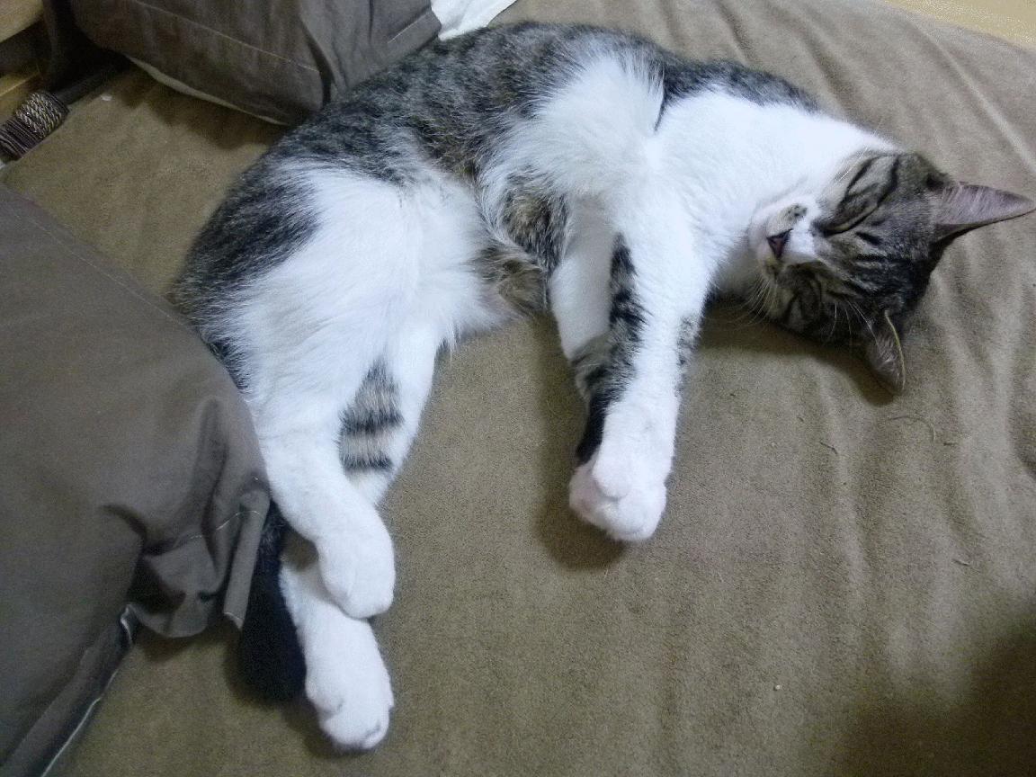 终场哨响前的回响,法比尼奥在罗马与墨西哥之战中定义伟大