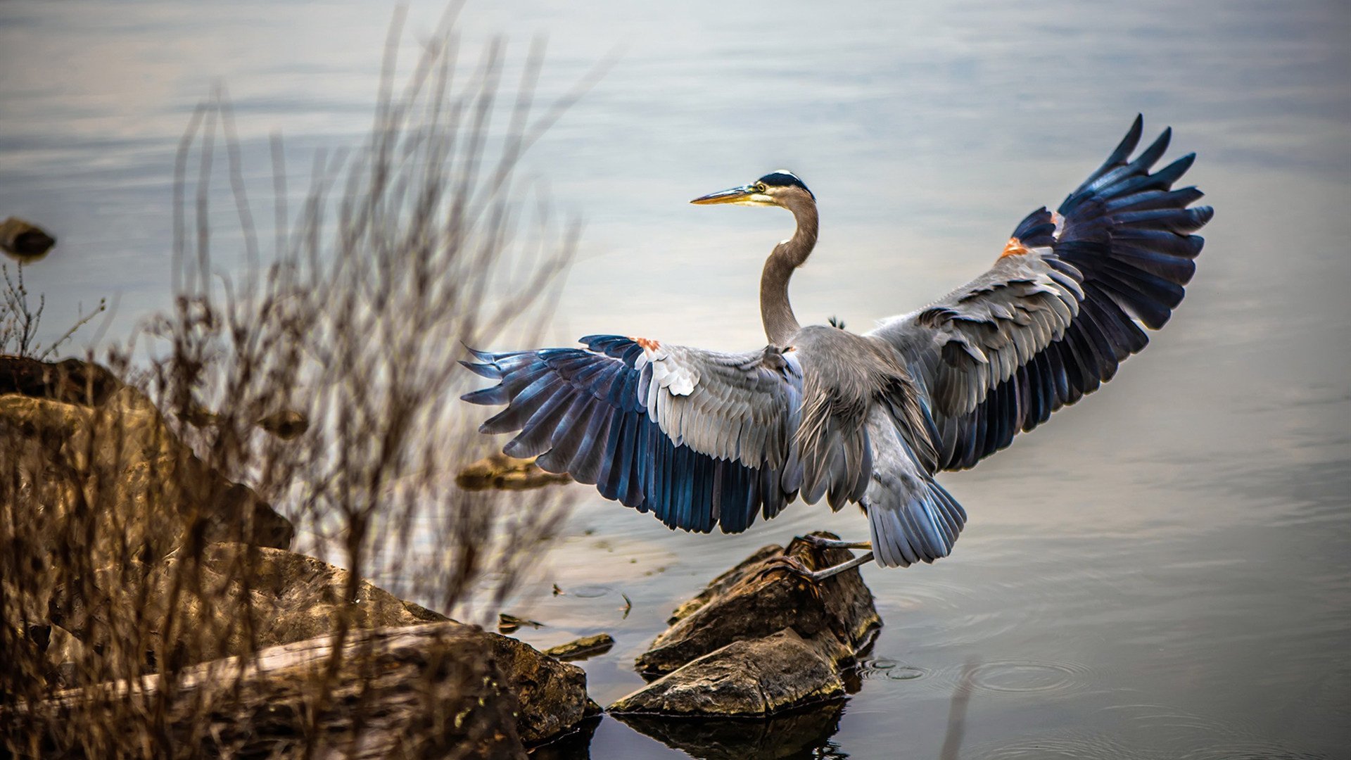 双星闪耀，悬念终结，一个足球之夜的胜利与哀歌