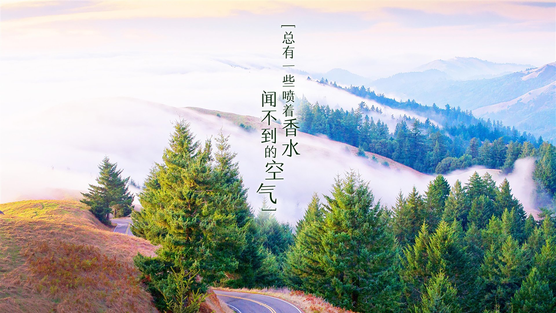 稳稳碾压，福克斯，北京队面前的无解题