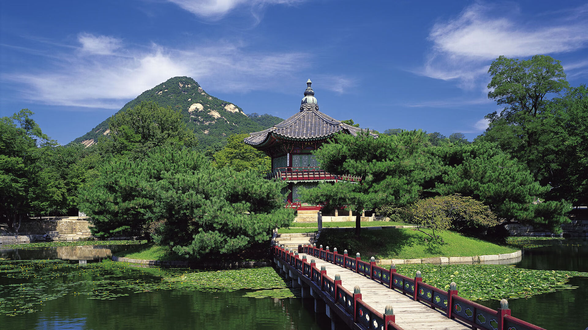 铃木翼舞，日本新星铃木一郎最后一圈绝杀瑞士名将费德勒，赢得F1揭幕战