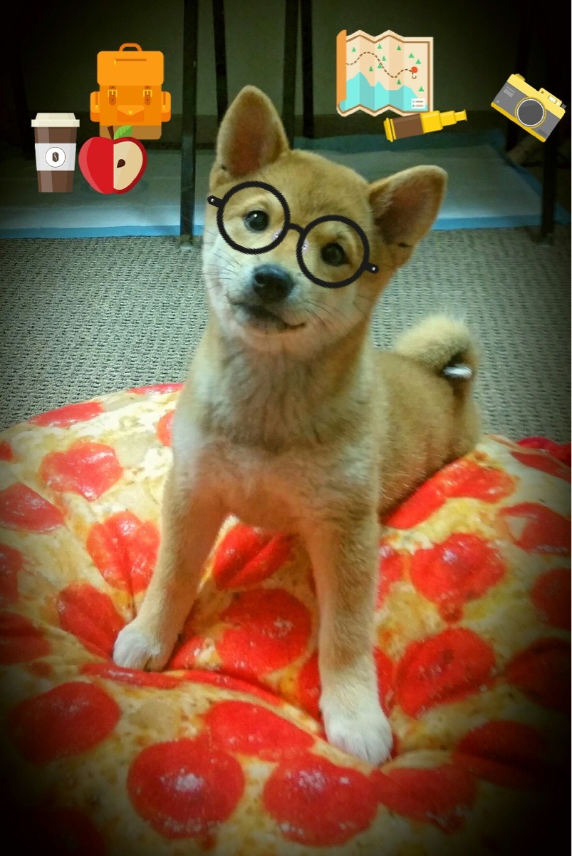 硬仗之夜的共同心跳，从NBA总决赛到若日尼奥的决胜场